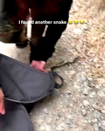 haylujan haylujan archive video