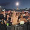 charli_xcx Altpins Profile Picture