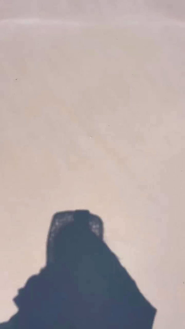 shayoded archive video preview