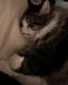 catherine__roze Altpins Profile Picture