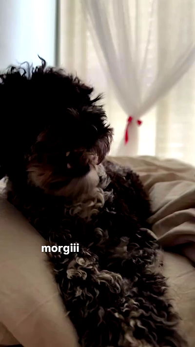 bymonamarie bymonamarie archive video