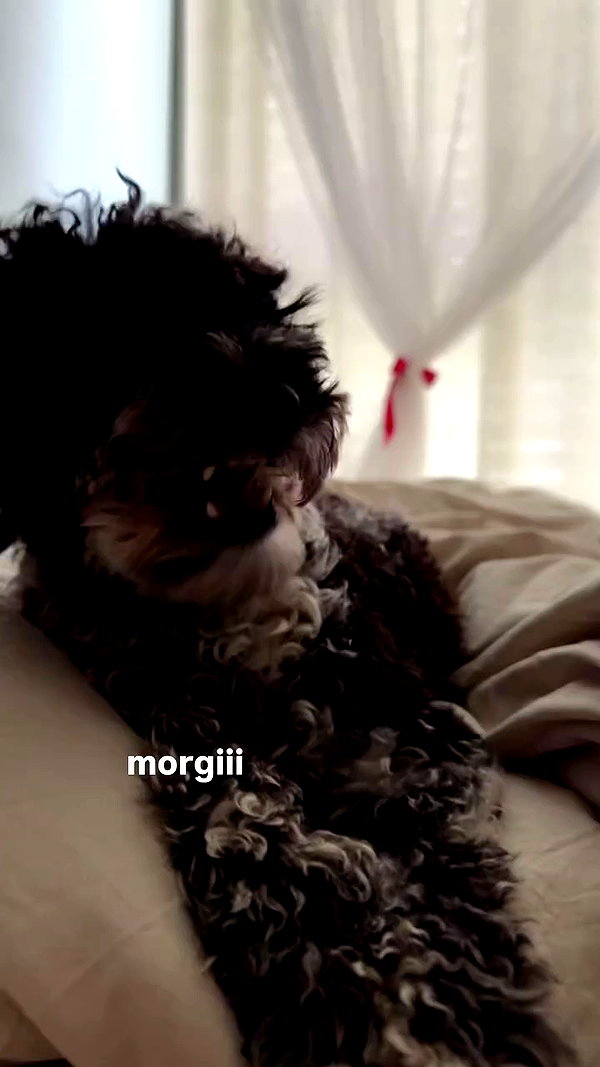 bymonamarie archive video preview