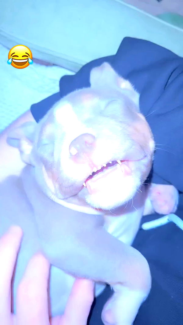 kesemgreenyer archive video preview