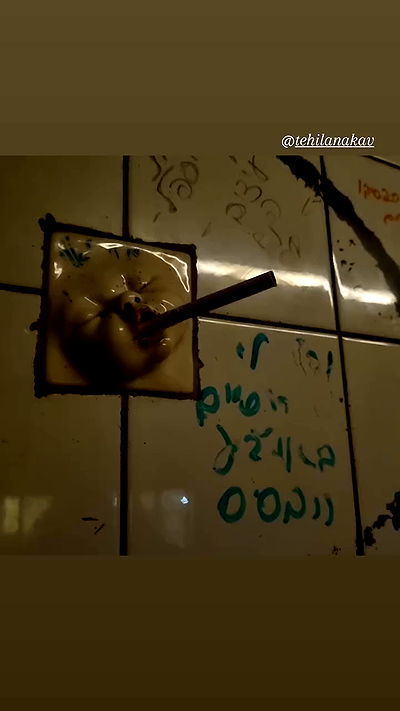 shayli_or shayli_or archive video