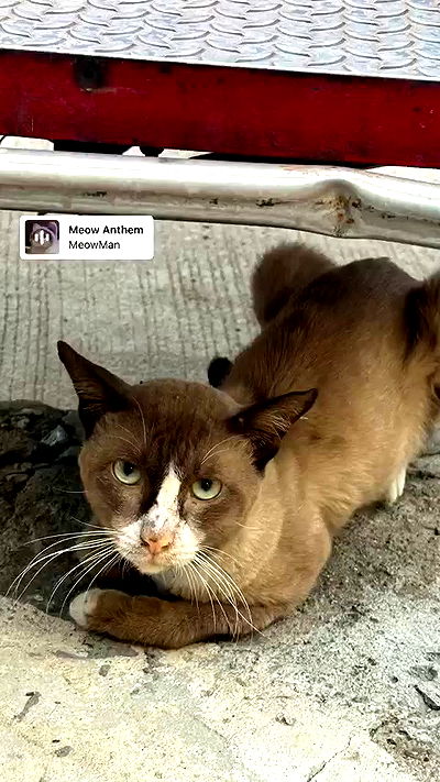 oqr0_ oqr0_ archive video