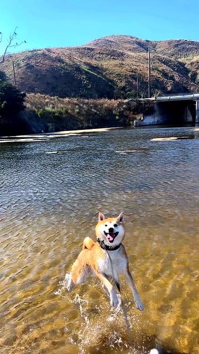 zommmbri zommmbri archive video