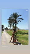 adidahan_2 Altpins Profile Picture
