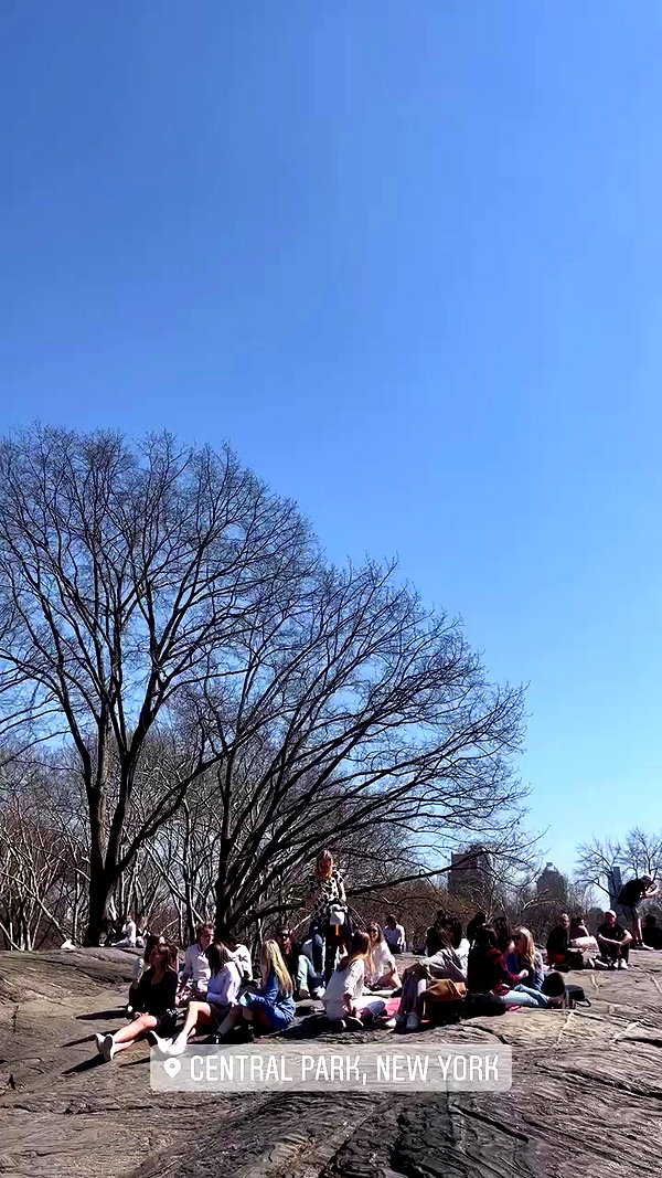stateofrachel archive video preview