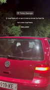_mashachka_ Altpins Profile Picture