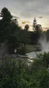 dina_shrago Altpins Profile Picture