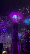 shelly_roberin Altpins Profile Picture