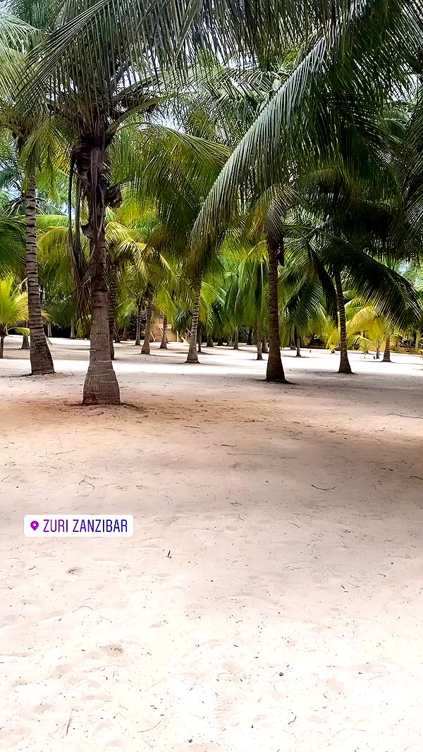 alinaaignatova archive video preview
