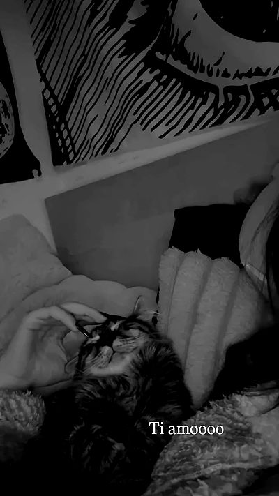 aekamee aekamee archive video