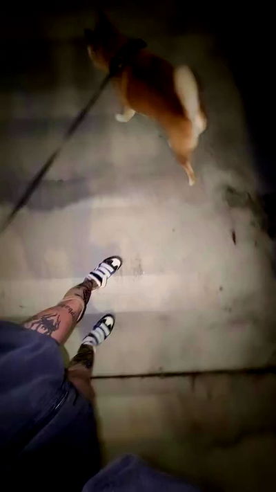 zommmbri zommmbri archive video