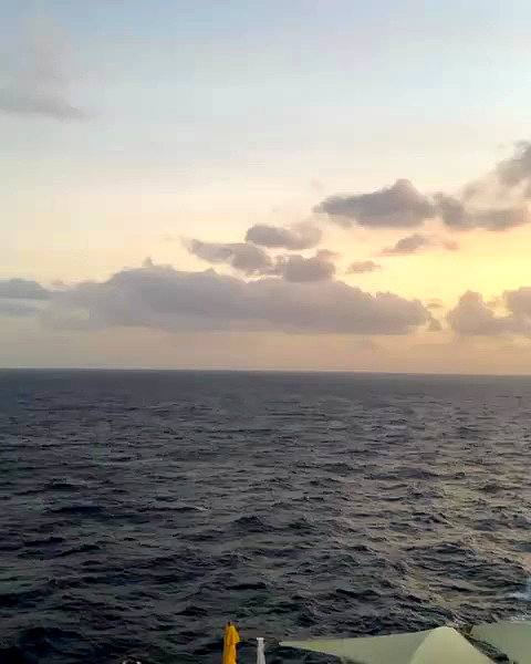 naylorliana_ archive video preview