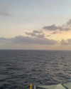 naylorliana_ Altpins Profile Picture