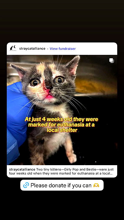 alexandramarianna alexandramarianna archive video