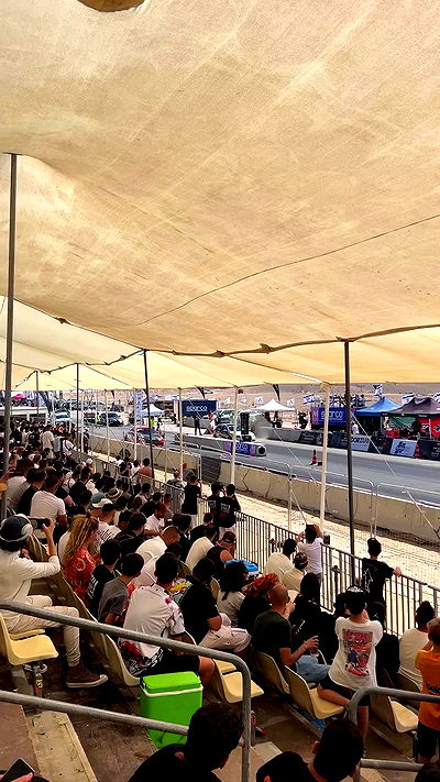 simp_for_cats_ simp_for_cats_ archive video