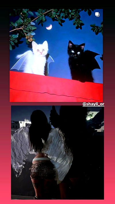 hellokittyangel666 hellokittyangel666 archive video