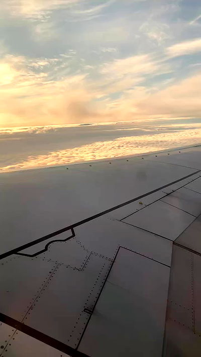 winbun.io winbun.io archive video