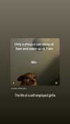 chloetamiii Altpins Profile Picture