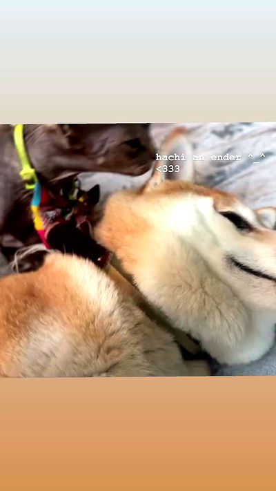 zommmbri zommmbri archive video