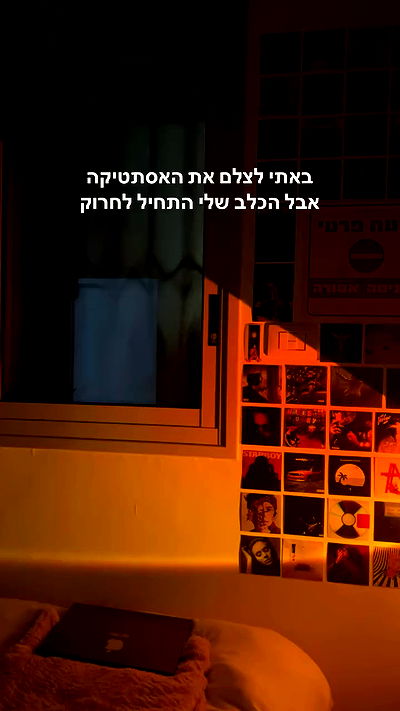 tuliprivet tuliprivet archive video