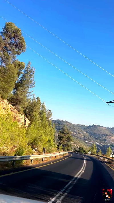 simp_for_cats_ simp_for_cats_ archive video