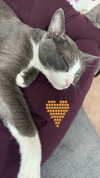 ritadim0 Altpins Profile Picture