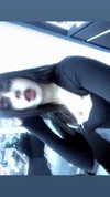 llevmaya Altpins Profile Picture