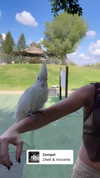 _mashachka_ Altpins Profile Picture