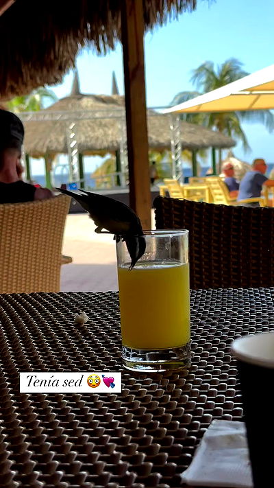 shunli__mei shunli__mei archive video