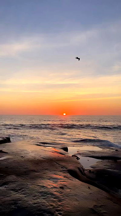 dracuina dracuina archive video