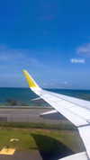 amit.yaron Altpins Profile Picture