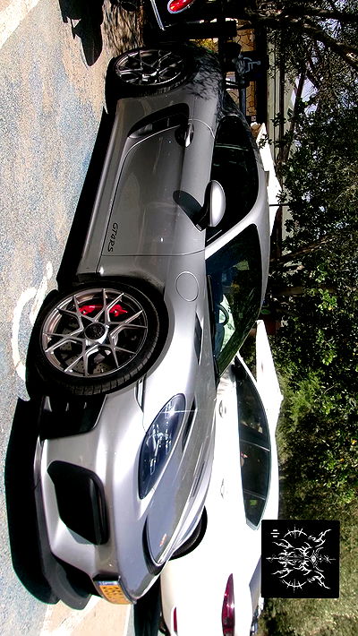 simp_for_cats_ simp_for_cats_ archive video