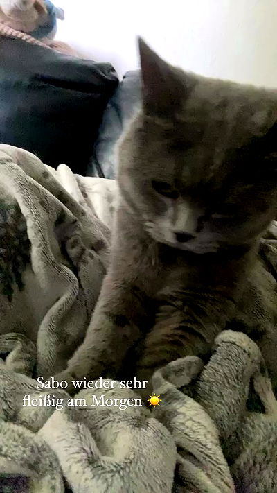 yoo.mon yoo.mon archive video