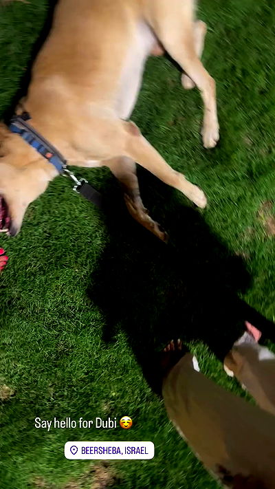 lubensca lubensca archive video