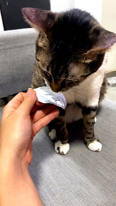 yam_adler yam_adler archive video