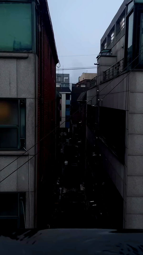 eliya.ho archive video preview