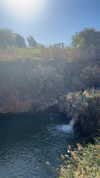 yaarat11 Altpins Profile Picture