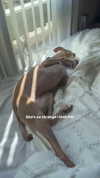 1kyle8_ Altpins Profile Picture