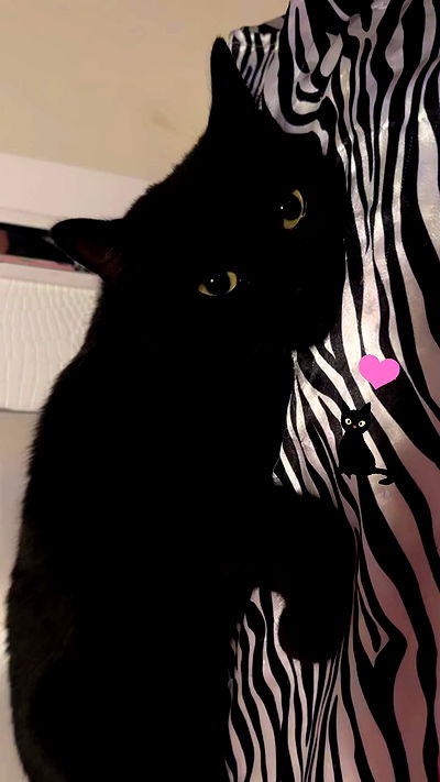 juliaelzz juliaelzz archive video