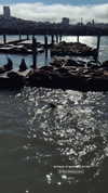 topaz_bn Altpins Profile Picture