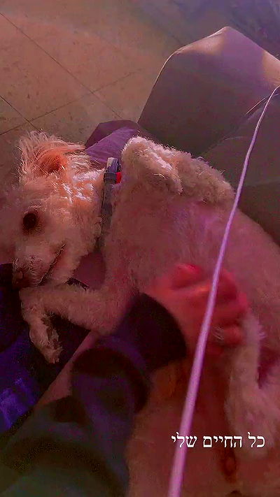 feelbetterinmysweater feelbetterinmysweater archive video