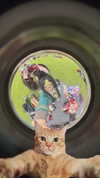 m1kalc Altpins Profile Picture