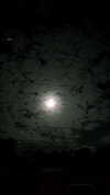 cry.4.mee Altpins Profile Picture
