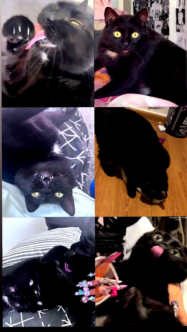 hellokittyangel666 archive video preview