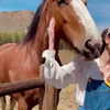 amylouisev Altpins Profile Picture