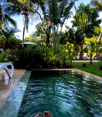 shunli__mei shunli__mei archive video