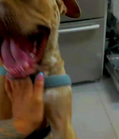 kesemgreenyer kesemgreenyer archive video